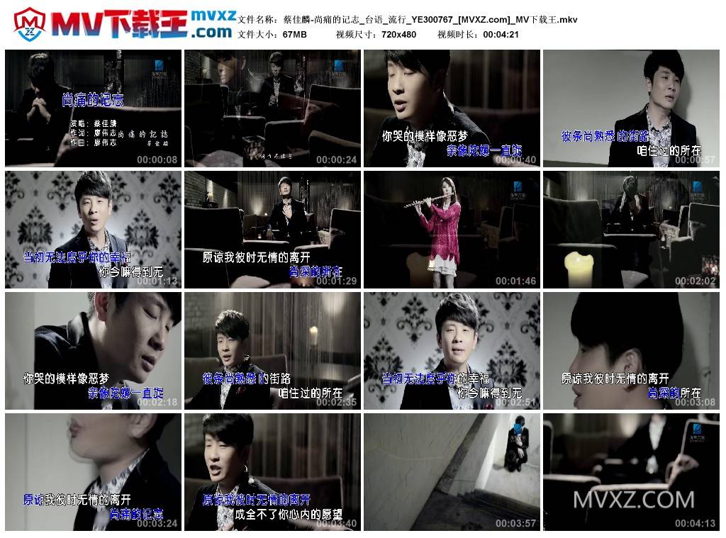 蔡佳麟-尚痛的记志_台语_流行_YE300767